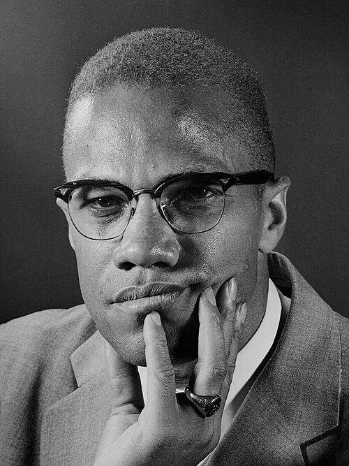 Artwork for Malcolm X